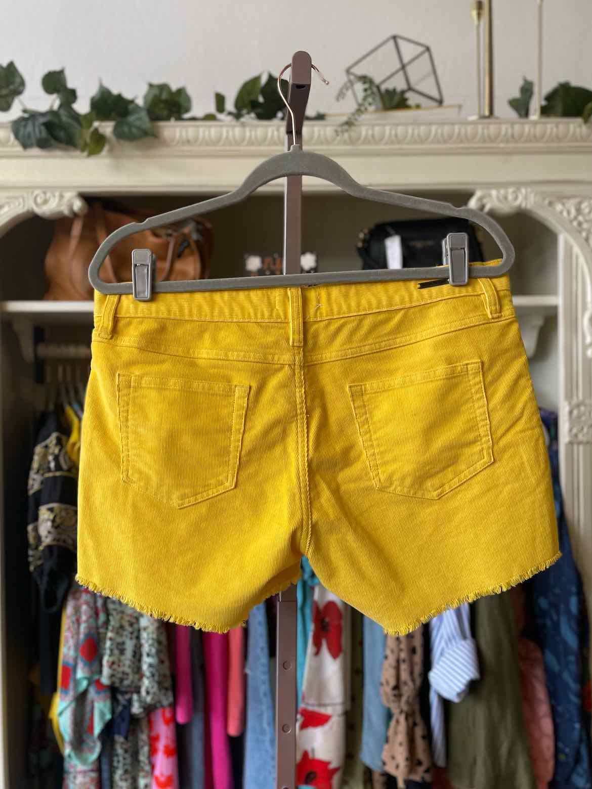 Carve Designs Size 8 Mustard Ribbed Shorts