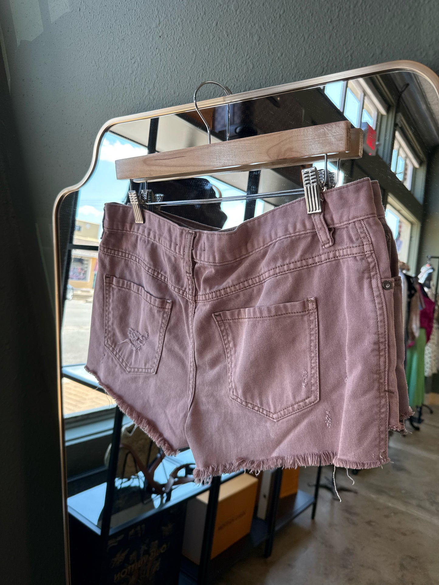 free people Size 29 Brown Shorts