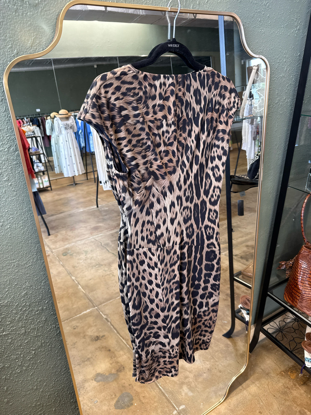 ROBERTO CAVALLI Size 44 Black/Brown Dress
