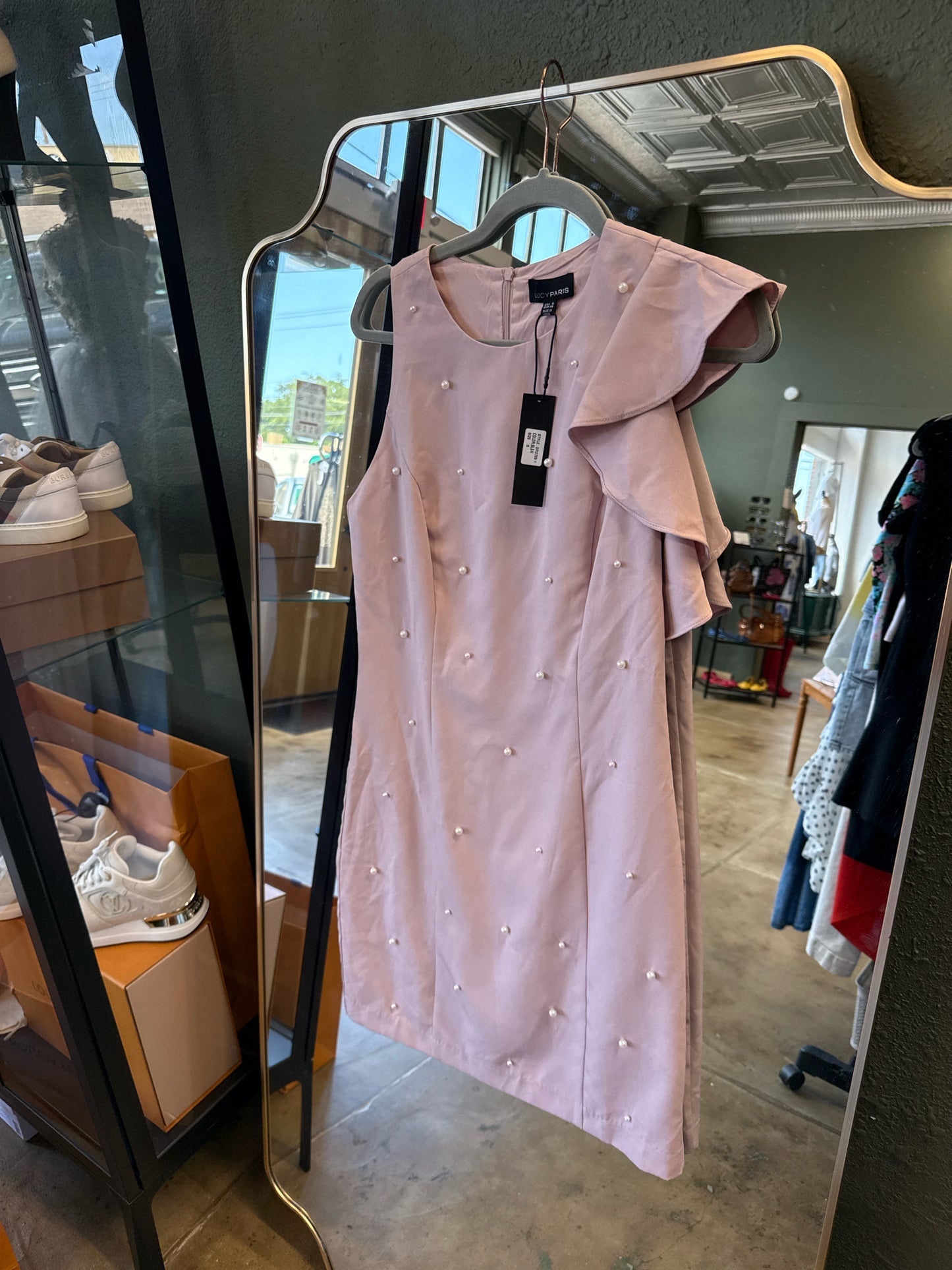Lucy Paris Size S Rose Dress