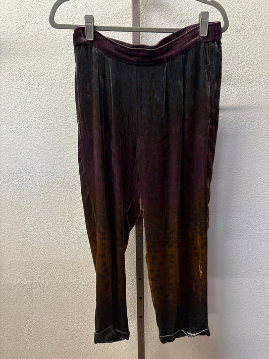 JW Los Angeles Size S Purple/Multi velvet Pants