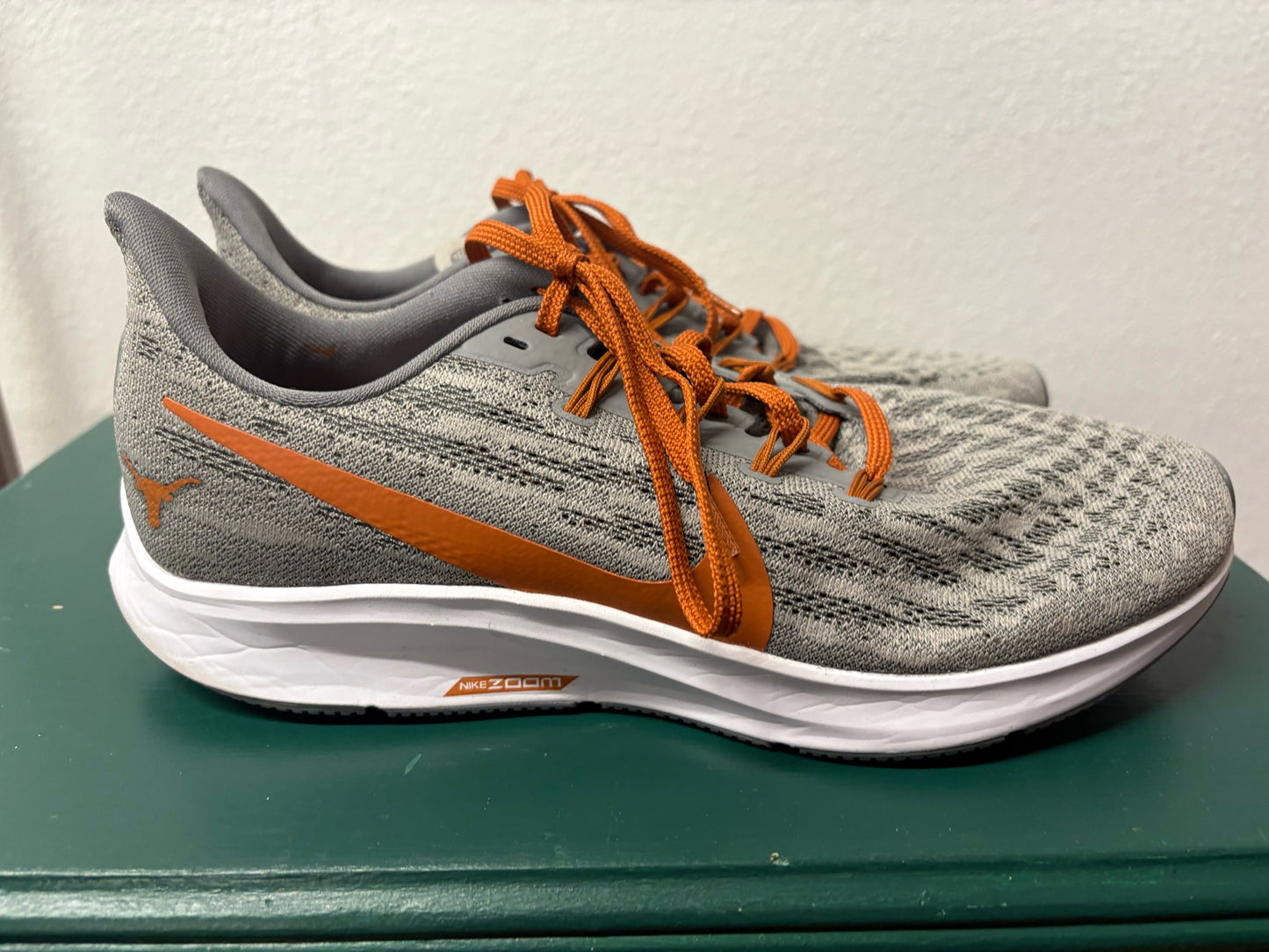 NIKE Shoe Size 11 Sneakers