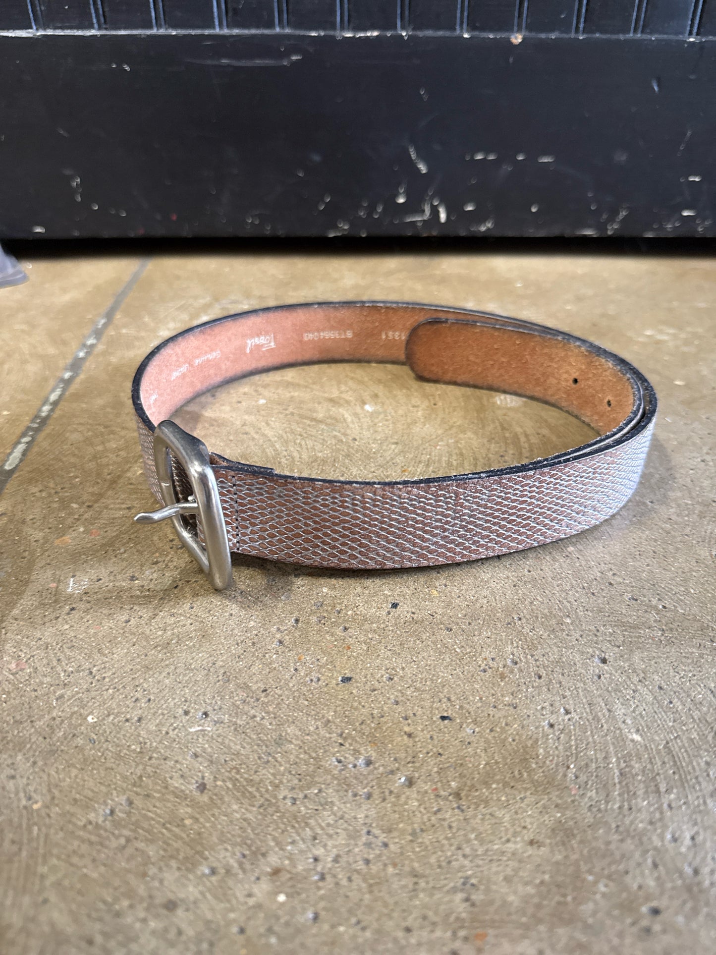 Fossil Brown/Silver Belt