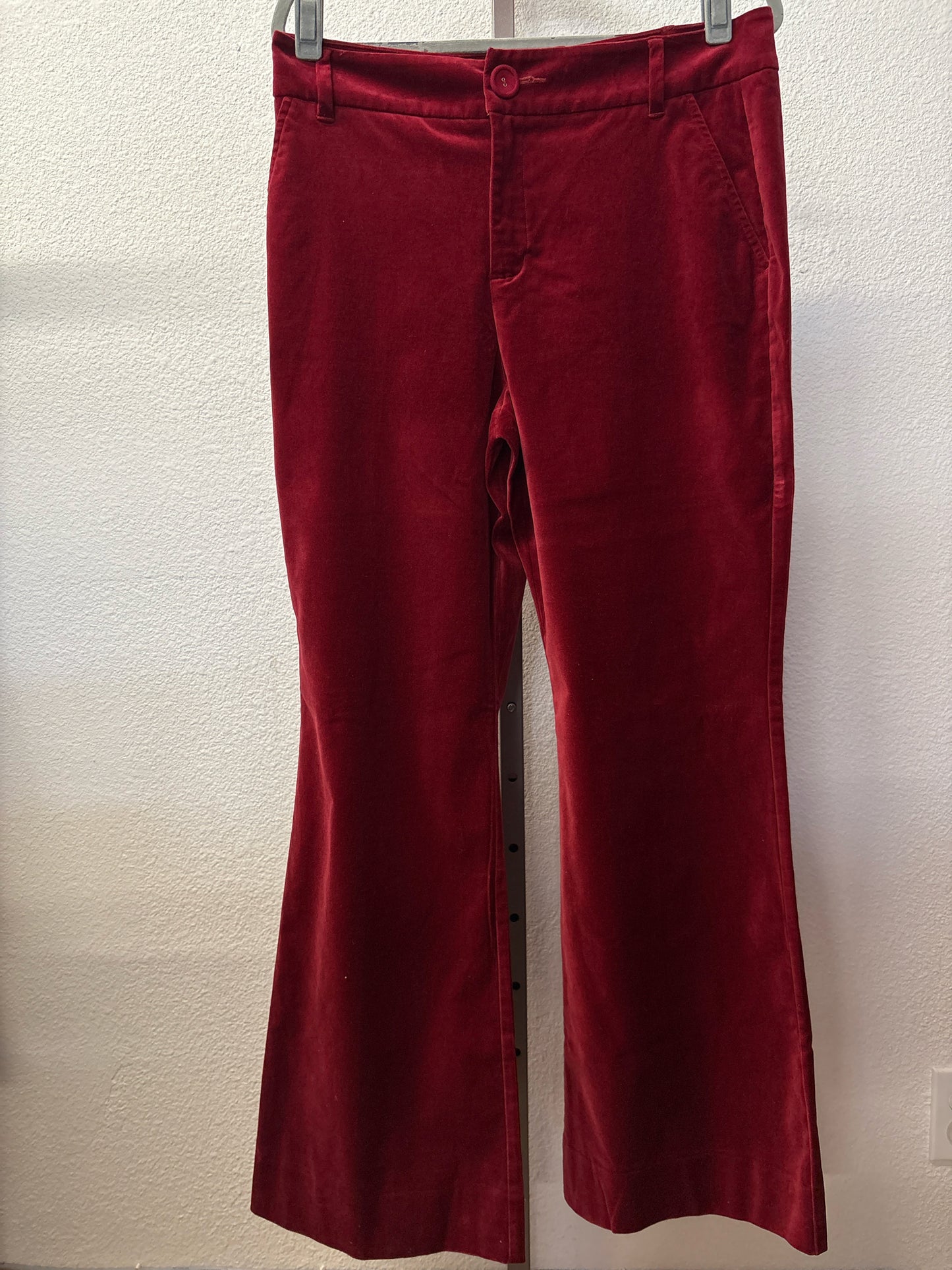 Cabi Size 10 cranberry velvet Pants