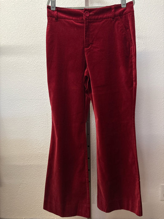 Cabi Size 10 cranberry velvet Pants