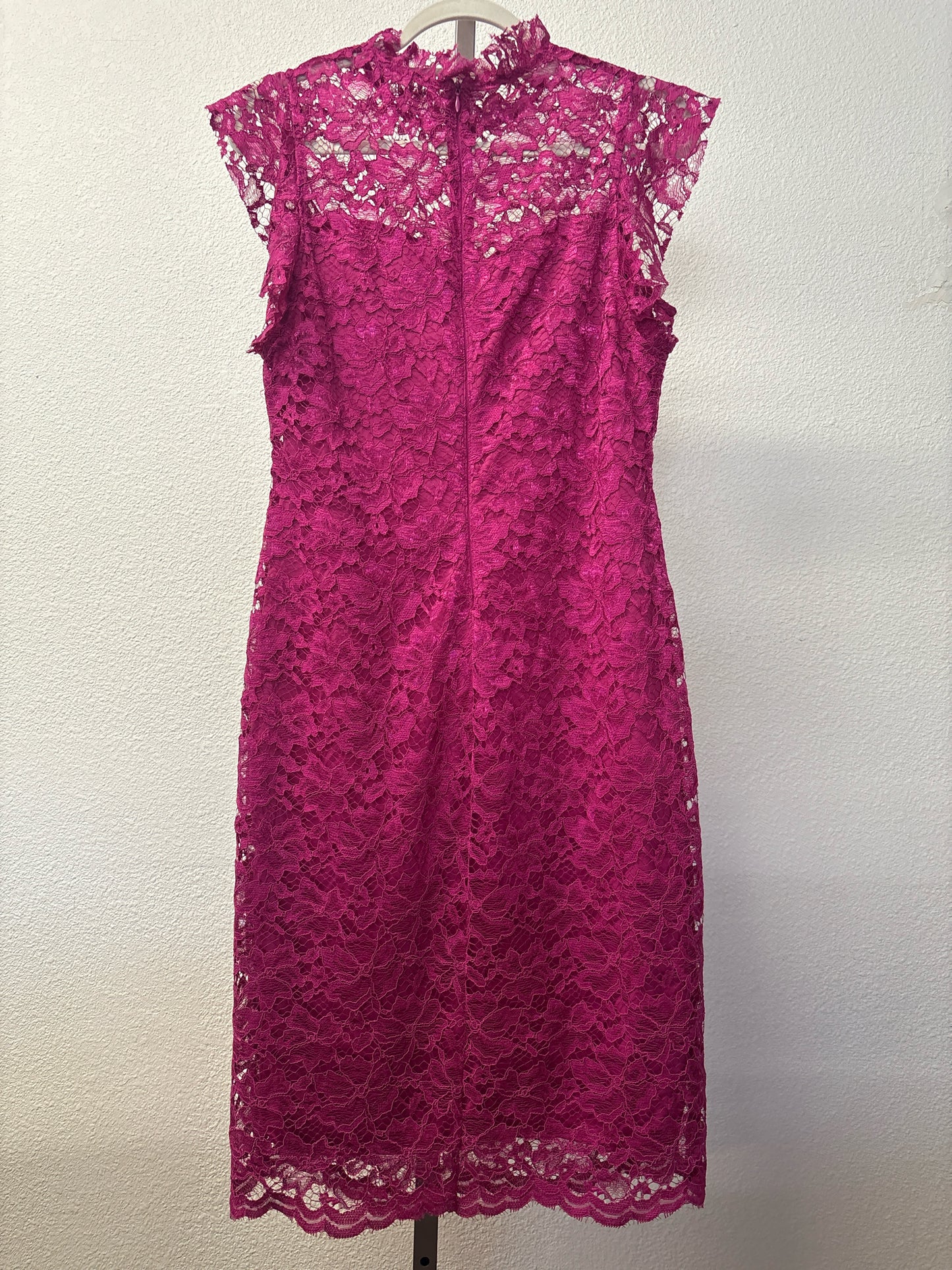 enfocus Size 12 Dress