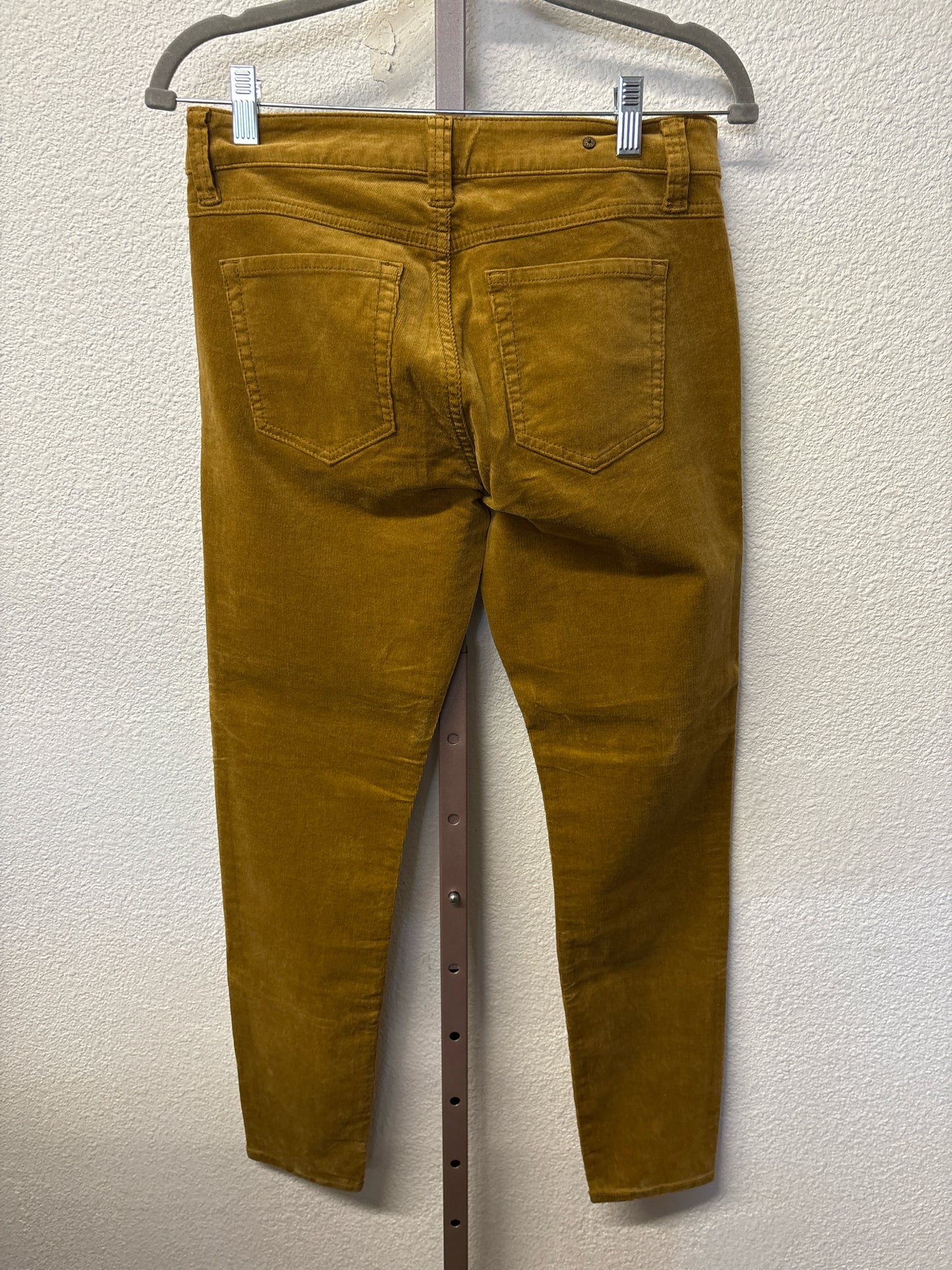 Cabi Size 4 Gold velvet Pants