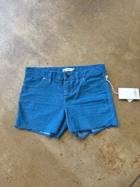Carve Designs Size 4 Turquoise Shorts