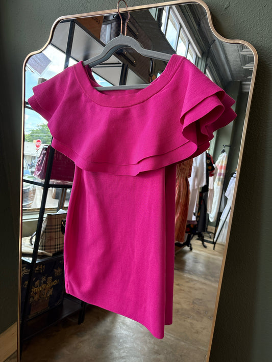 endless rose Size S Fuschia Dress