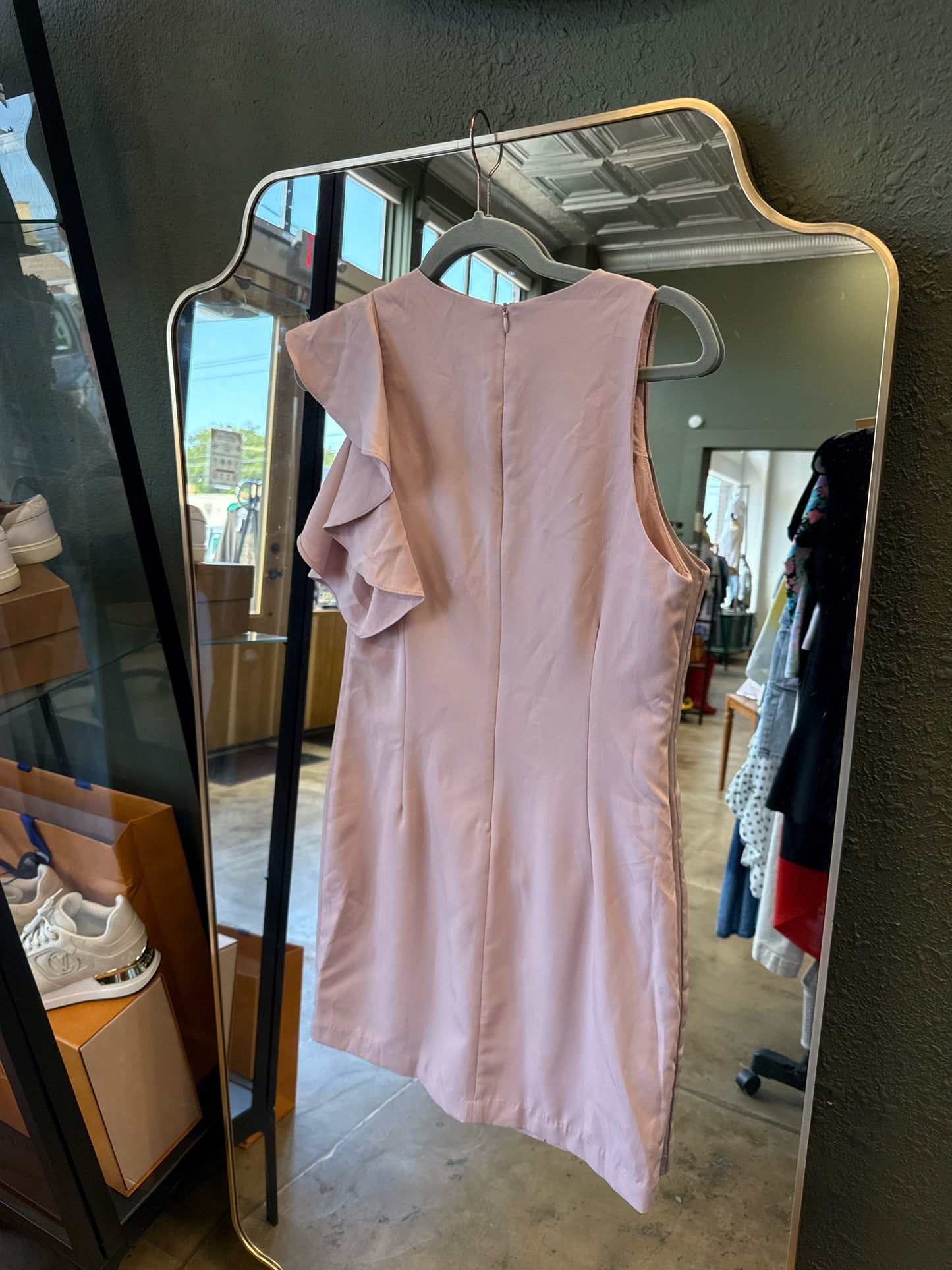 Lucy Paris Size S Rose Dress