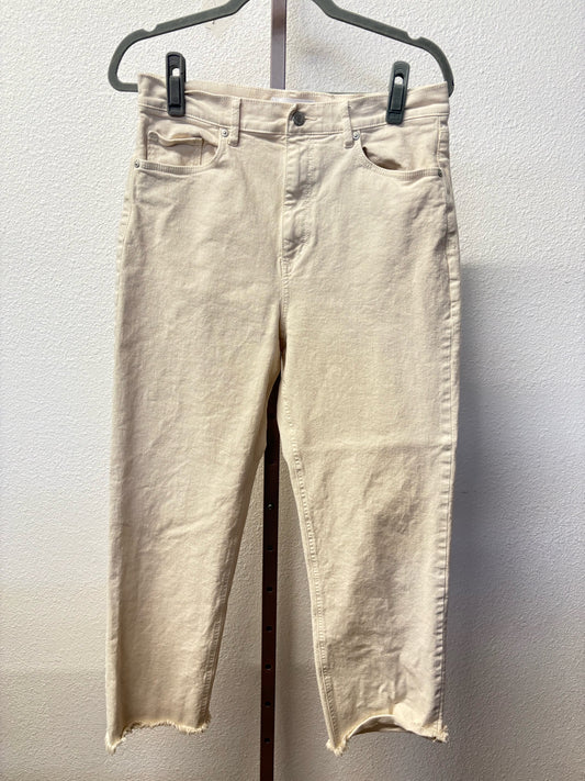 LOFT Size 28 Jeans