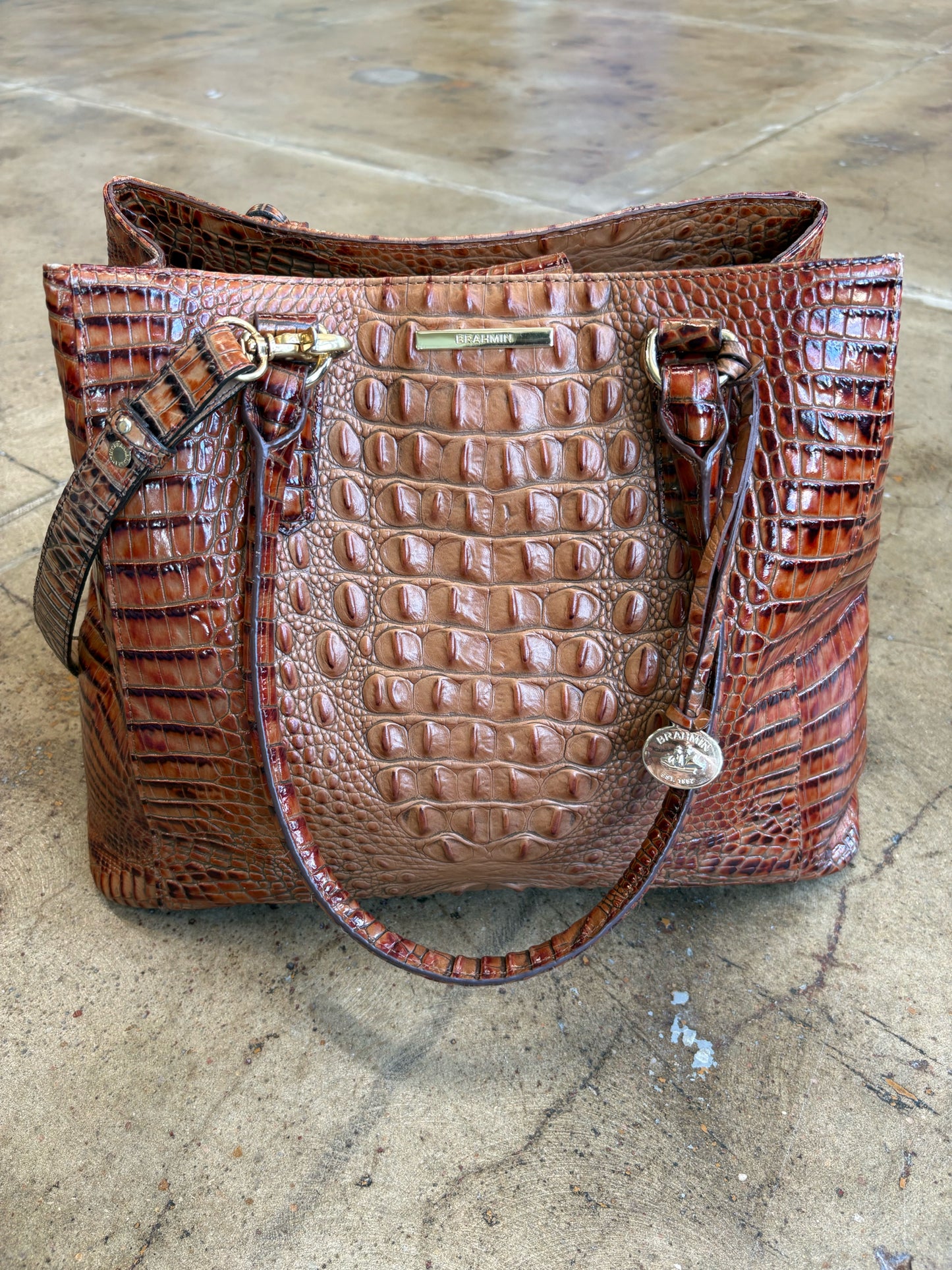 Brahmin Brown Bag