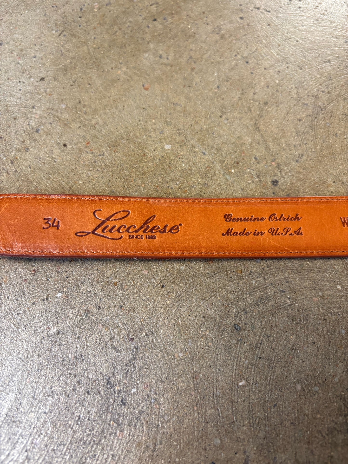 Luchesse Brown/Silver Belt