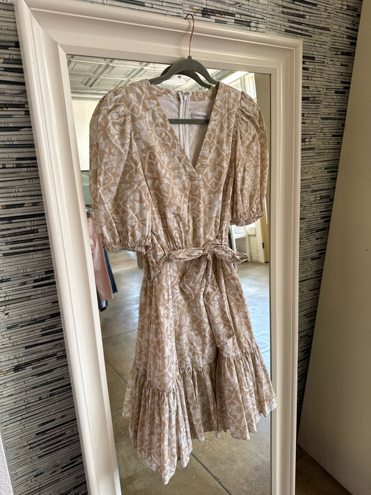 CALVIN KLEIN Size 8 Brown Dress