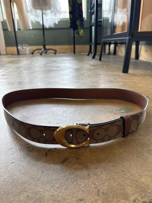 COACH Brown Belt