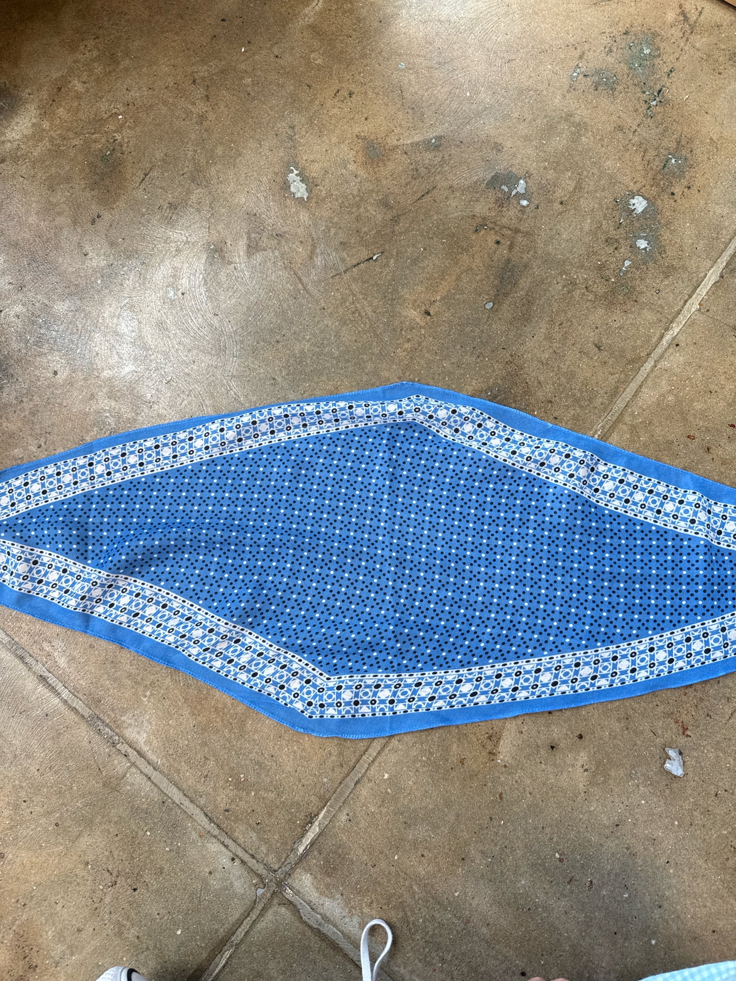 J Jill Blue Scarf