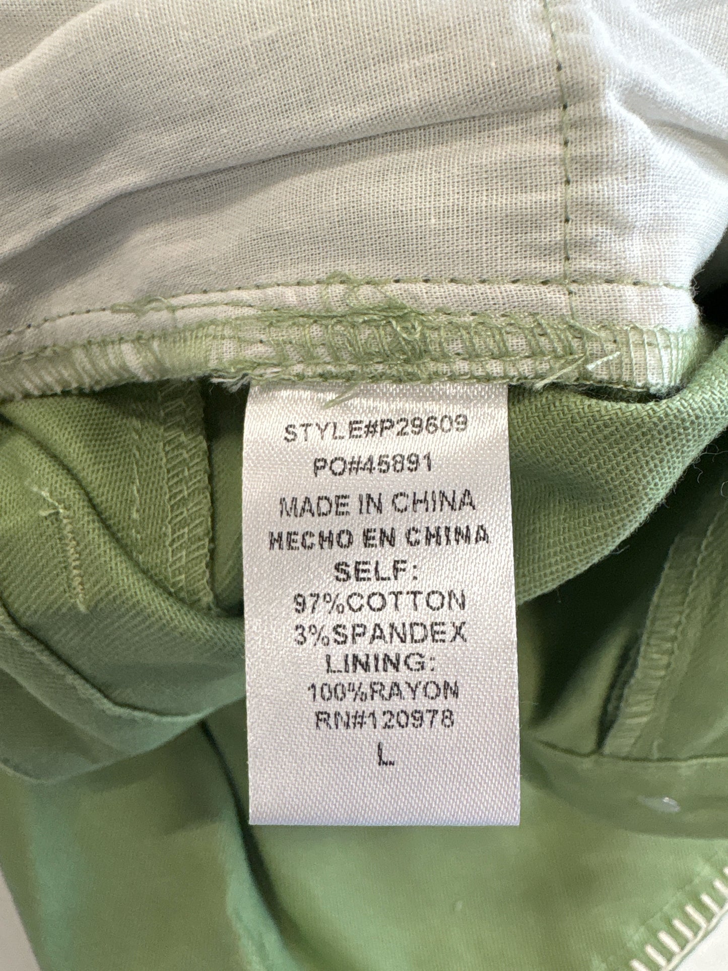 entro Size L Sage Shorts