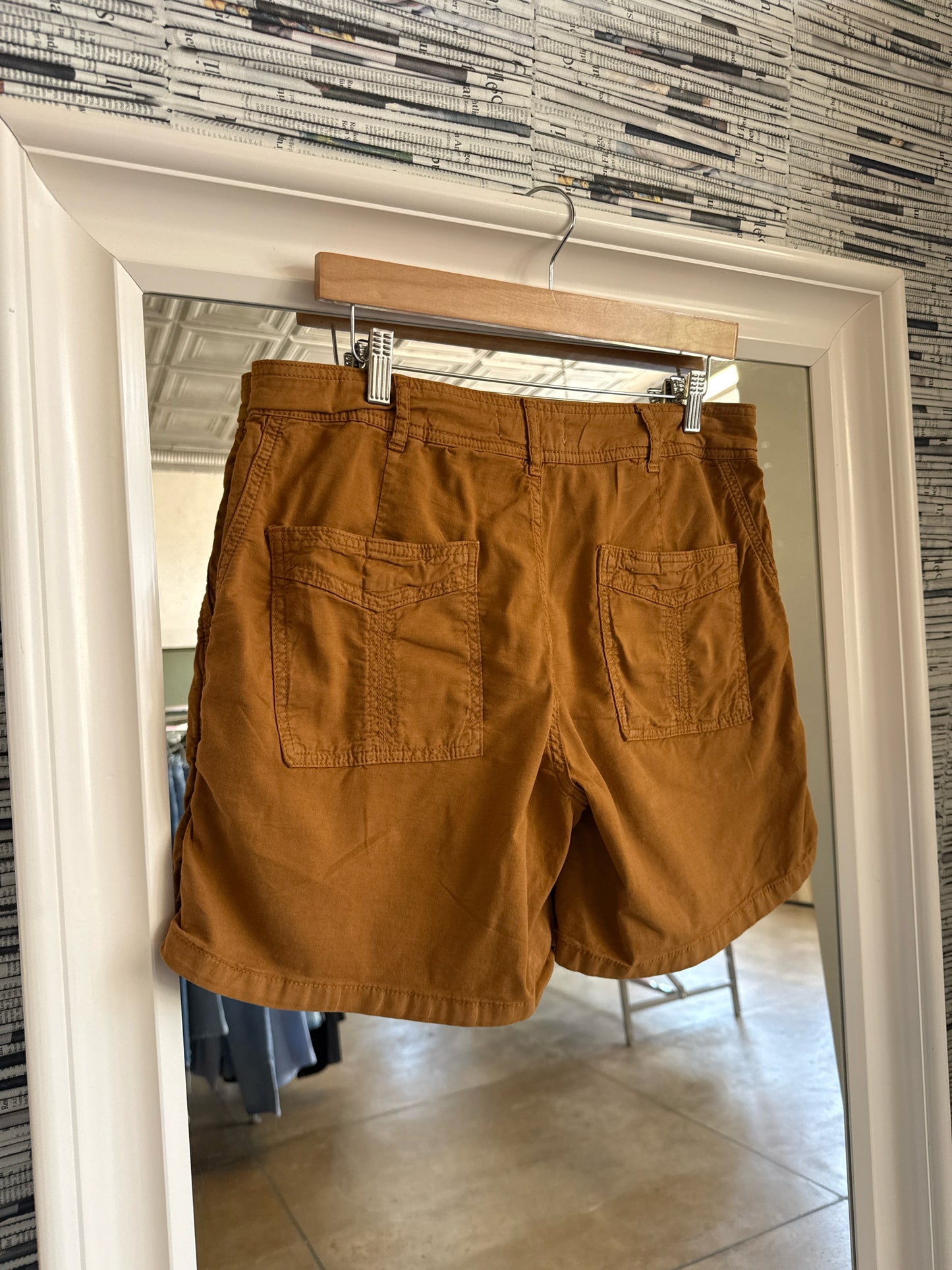 Anthropologie Size 30 Brown Shorts