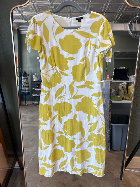 ANN TAYLOR Size 10 Cream/ Yellow Dress