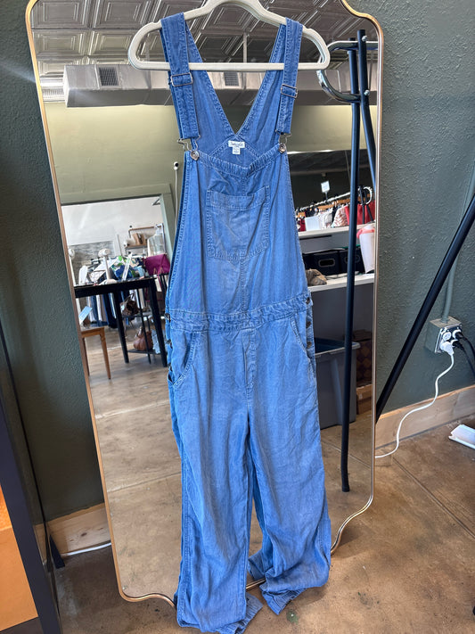 splendid Size L Chambray Overalls