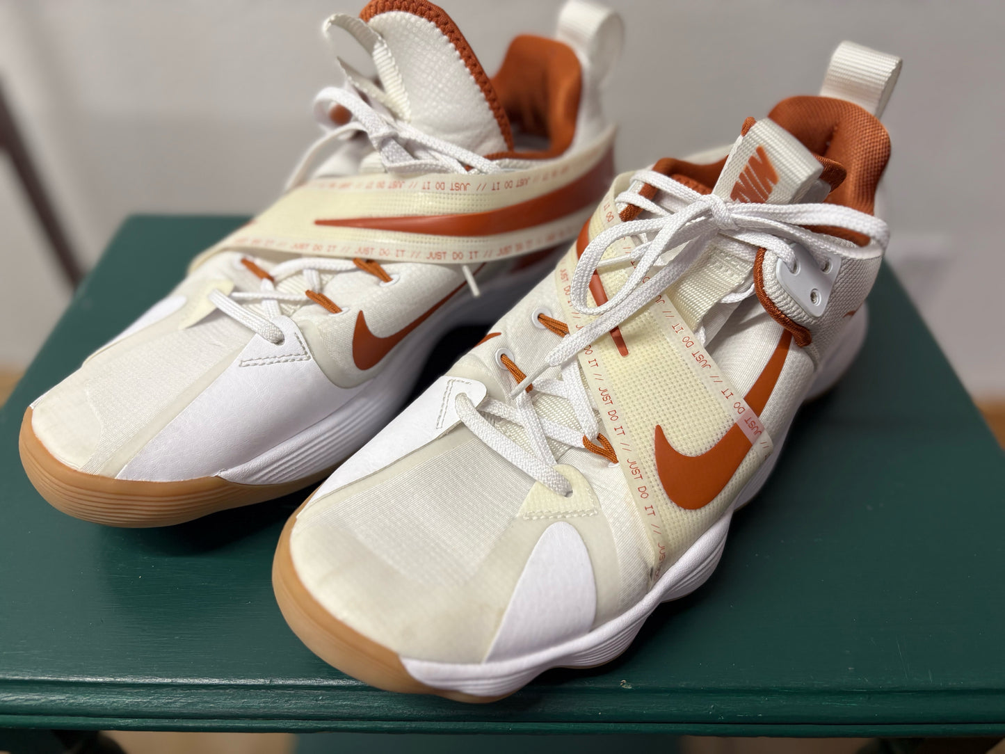 NIKE Shoe Size 9.5 Sneakers