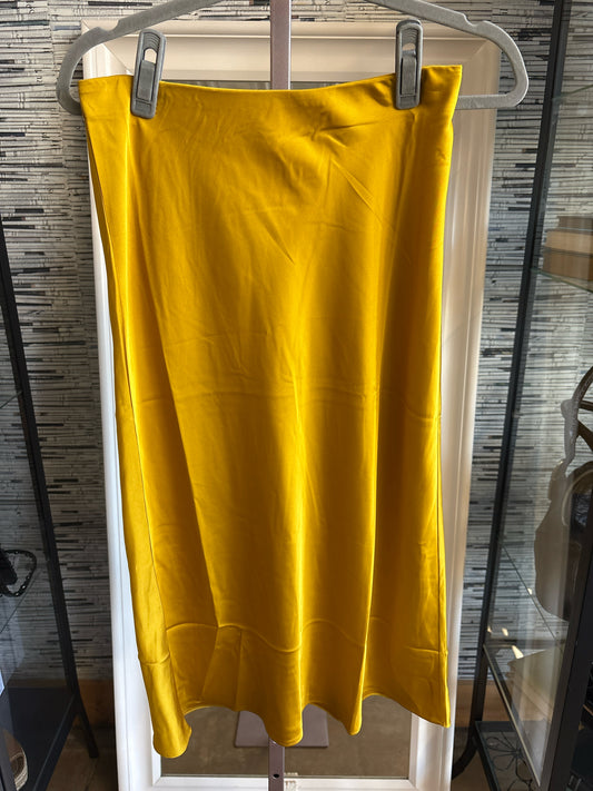 J. CREW Size XS Skirt