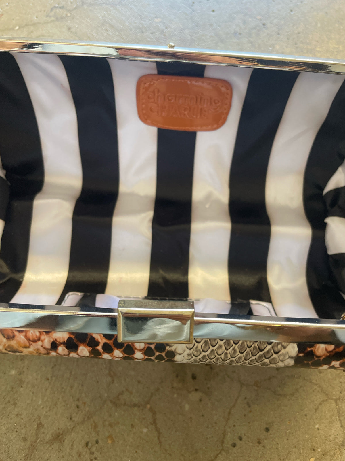 Charming Charlie Snakeskin Purse
