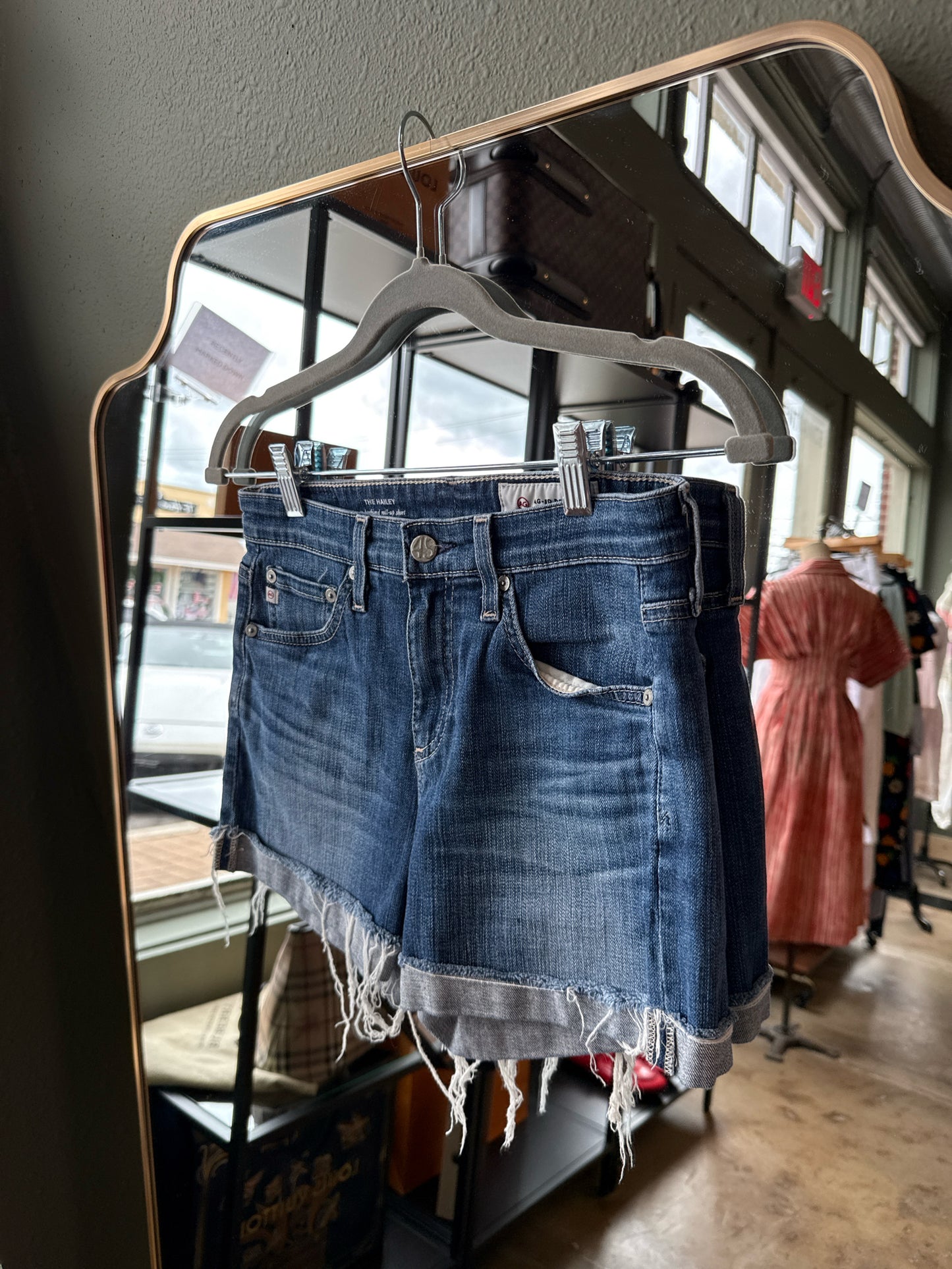 Adriano Goldschmied Size 24 Denim Shorts