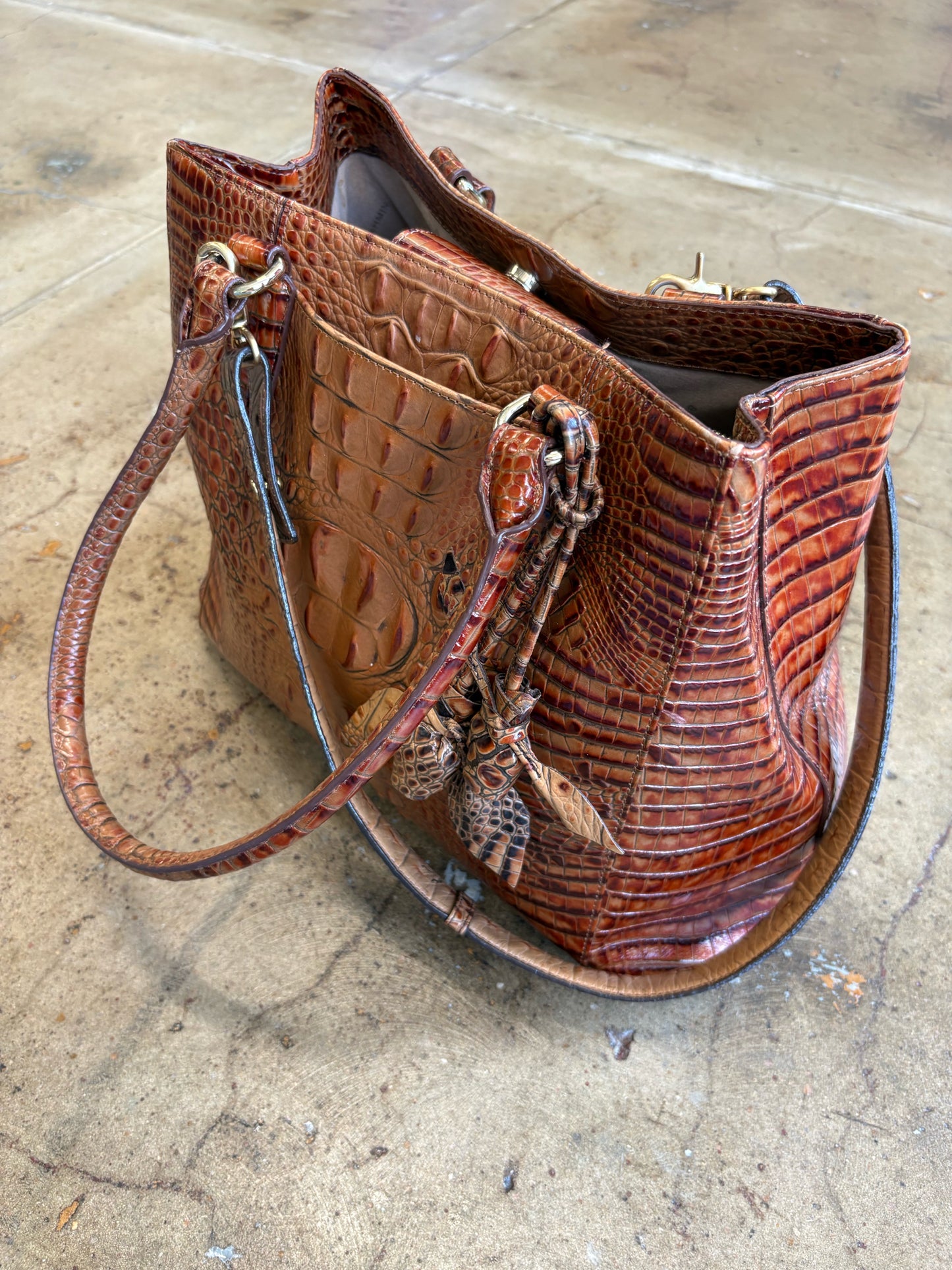 Brahmin Brown Bag