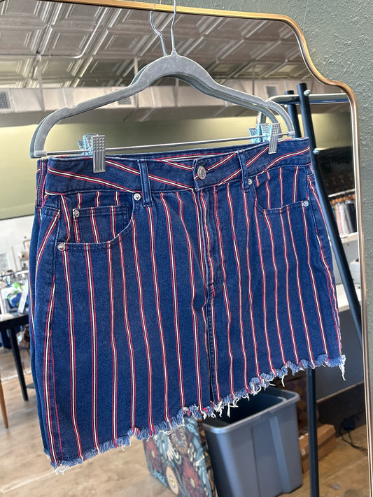American Eagle Size 14 Skirt