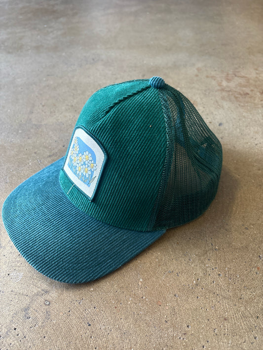 American Eagle Green/multi Ribbed Hat