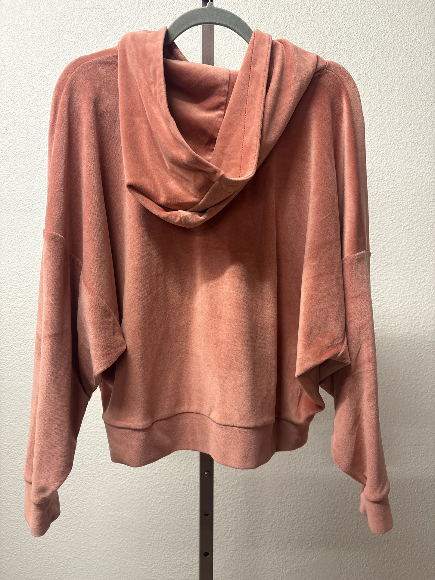 American Eagle Size M blush hoodie Pullover/Hoodie