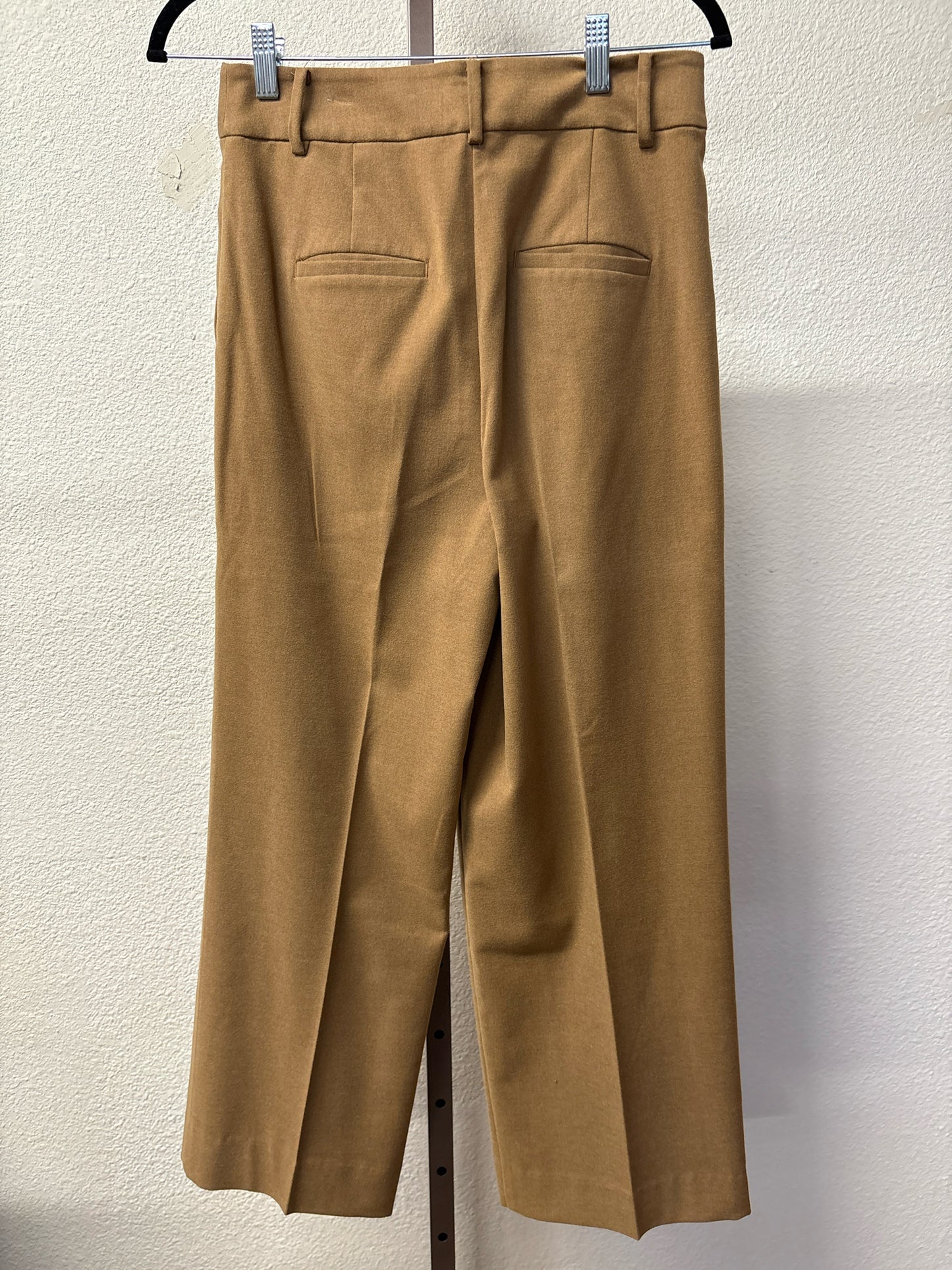 LOFT Size 2P Gold Pants