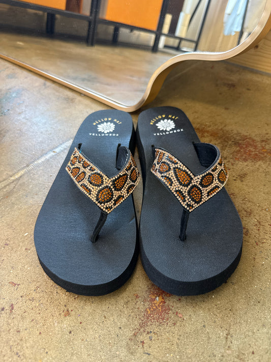 Yellow Box Shoe Size 7 Black/Brown Flip Flops