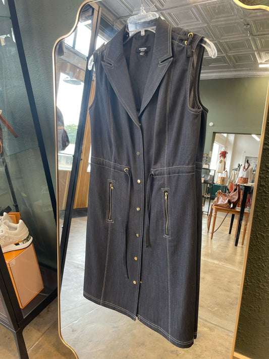 Premise Size 6 Jean Dress