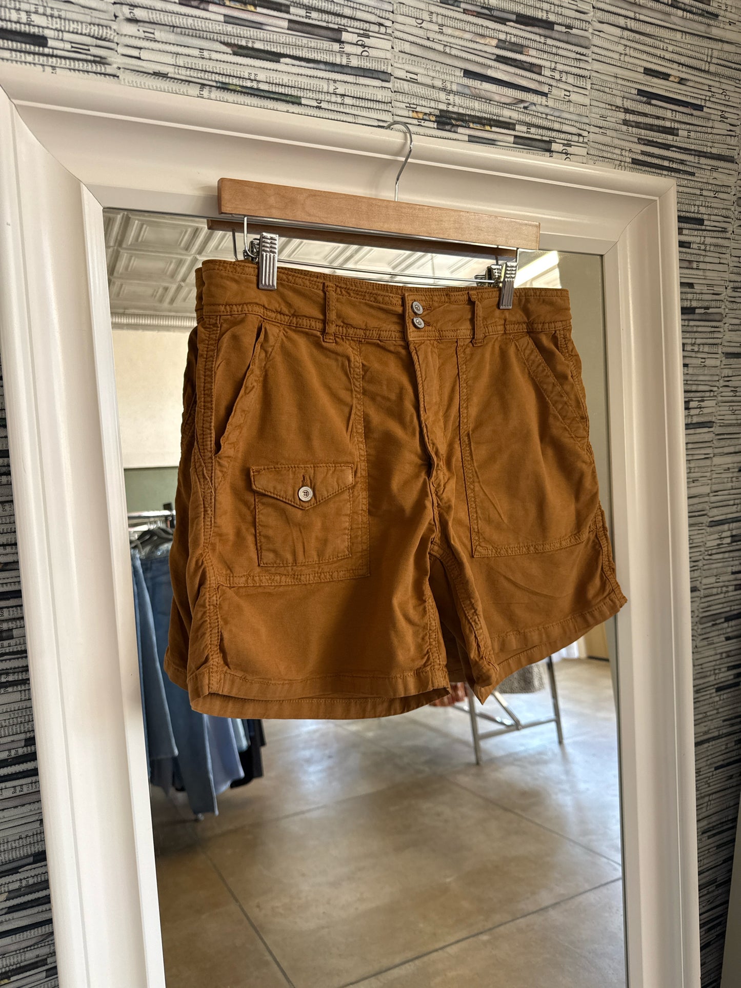 Anthropologie Size 30 Brown Shorts