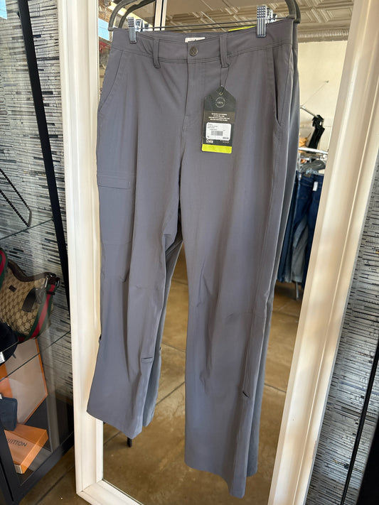 REI 10 Gray Pants