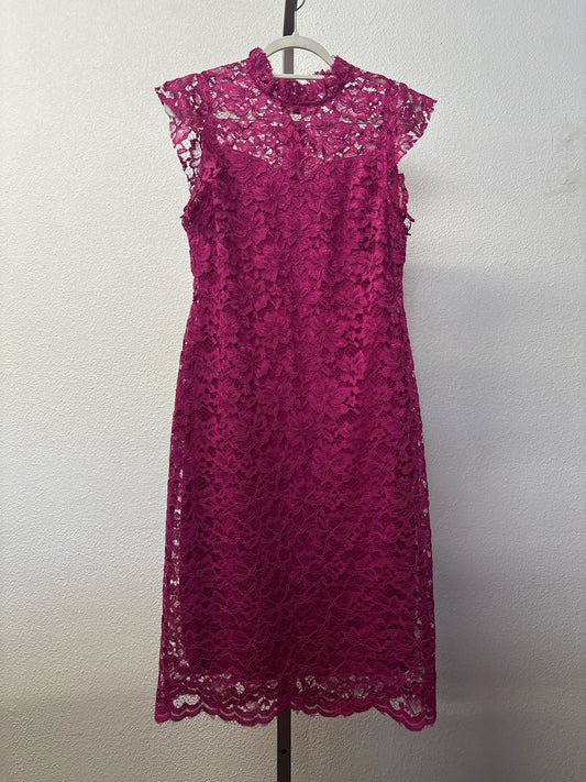 enfocus Size 12 Dress