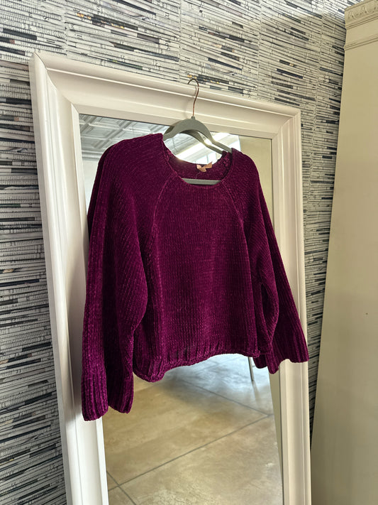 Moth Size S Purple Sweater