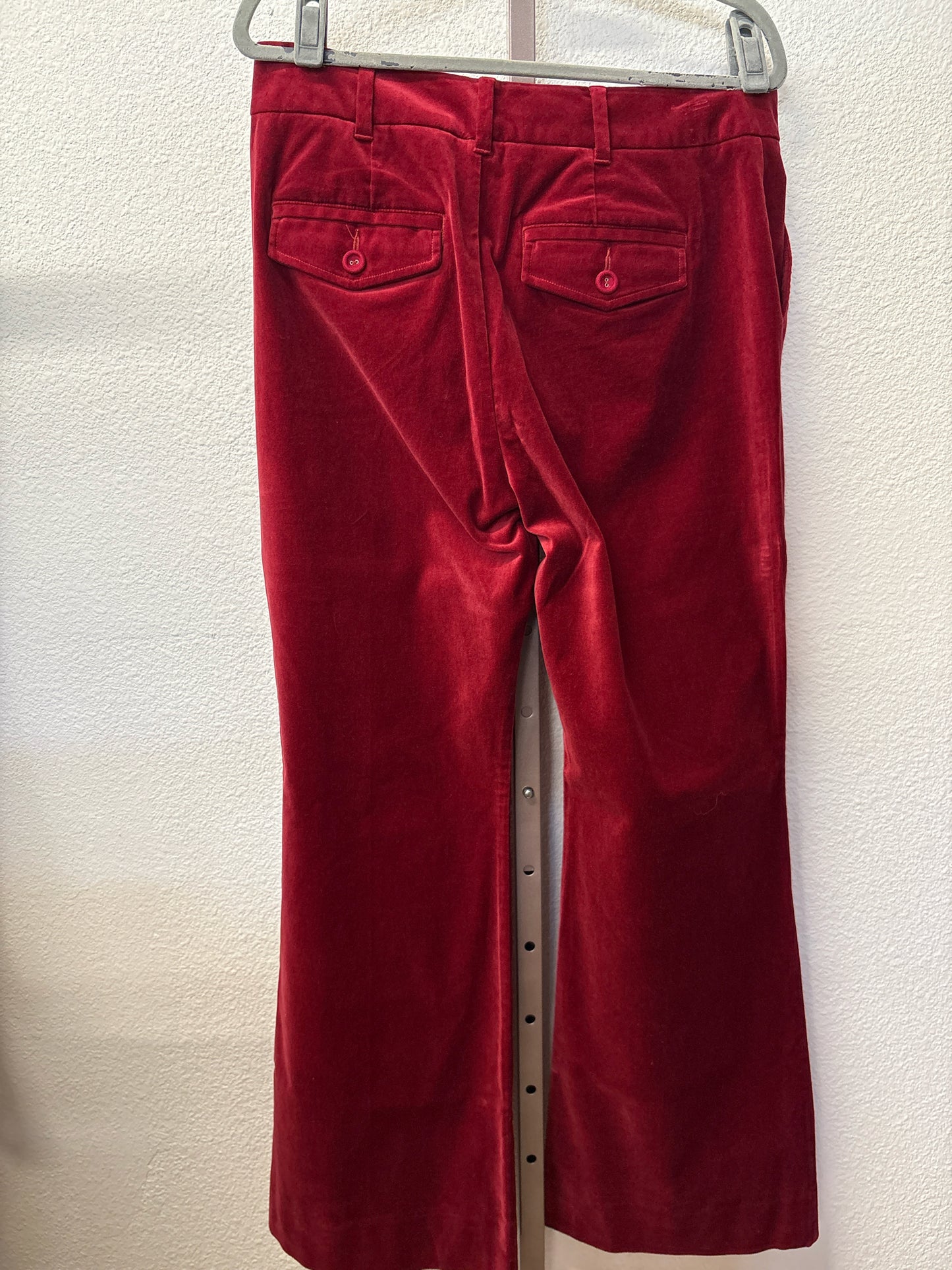 Cabi Size 10 cranberry velvet Pants