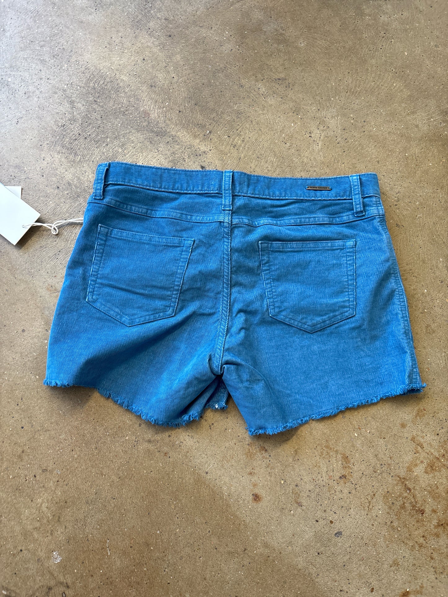 Carve Designs Size 4 Turquoise Shorts
